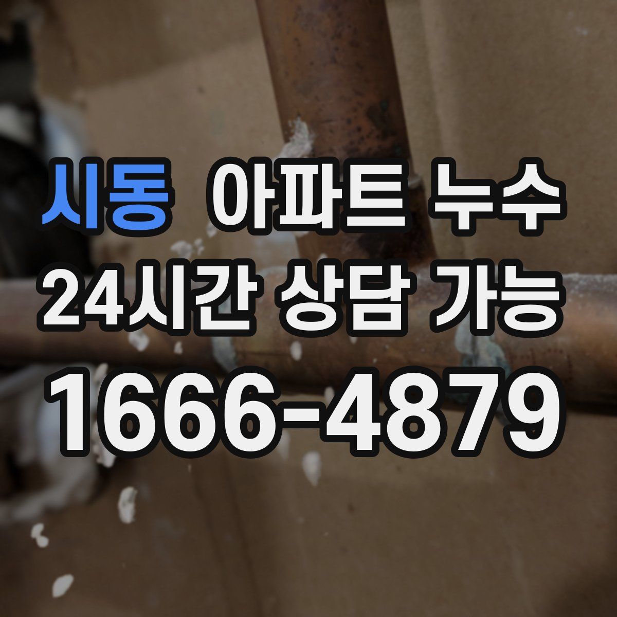 시동 아파트 누수탐지