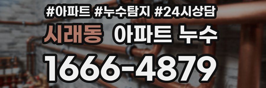 시래동 누수탐지