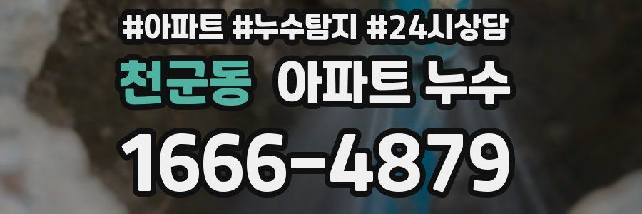 천군동 누수탐지