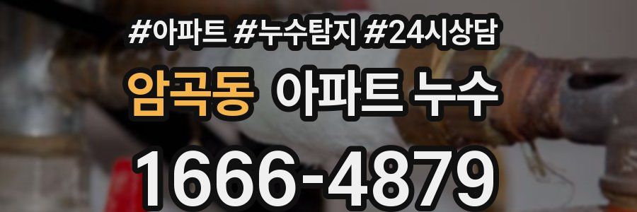 암곡동 누수탐지