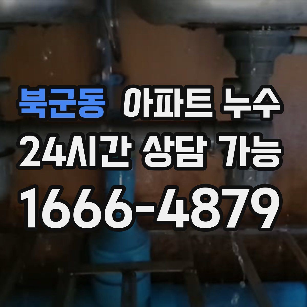 북군동 아파트 누수 벽지 끝선이 검게 변할 때