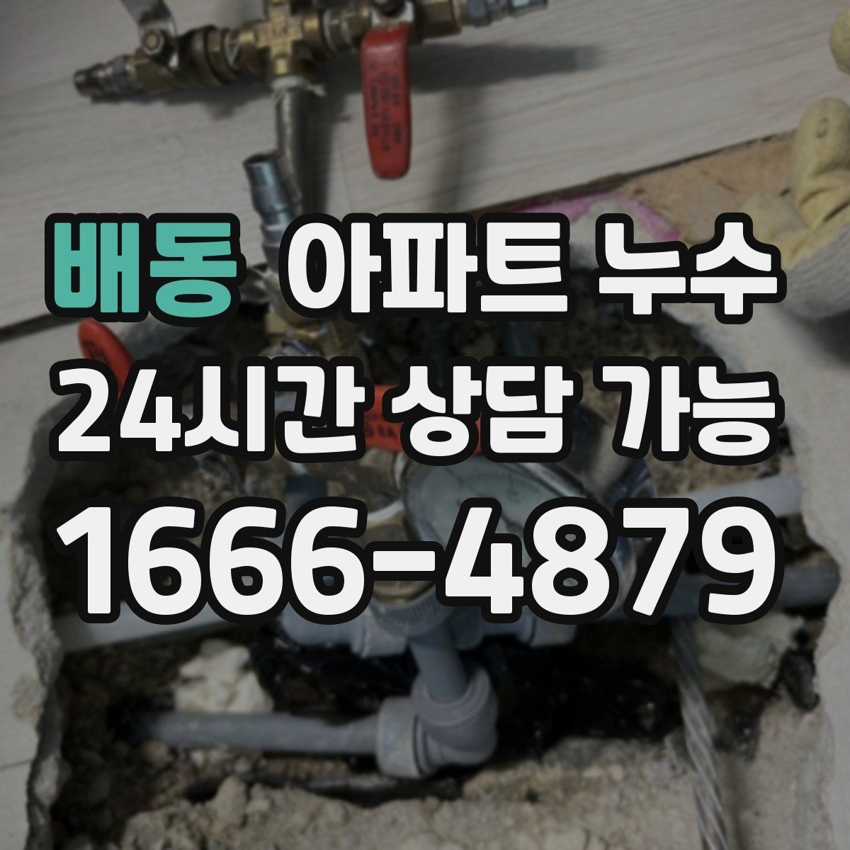 배동 아파트 누수 도배지 갈색 라인 방치하면 커지는 이유와 사진 기록