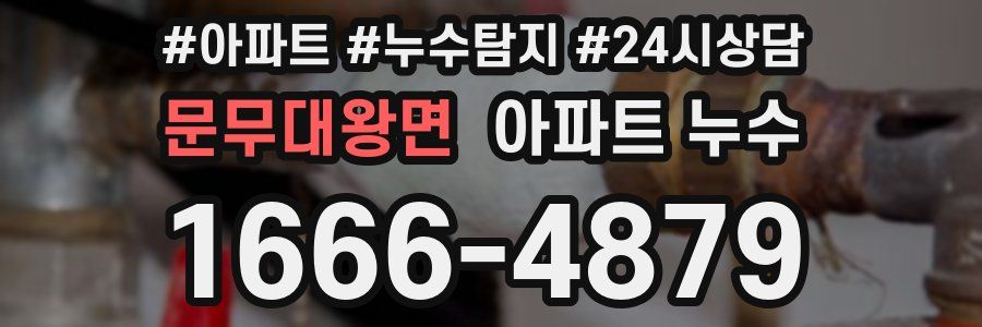 문무대왕면 누수탐지