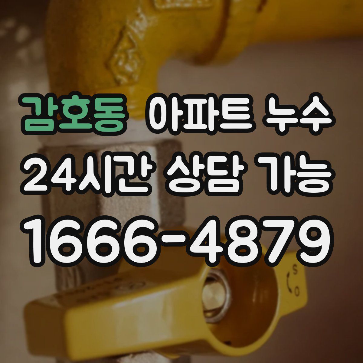 감호동 아파트 누수탐지