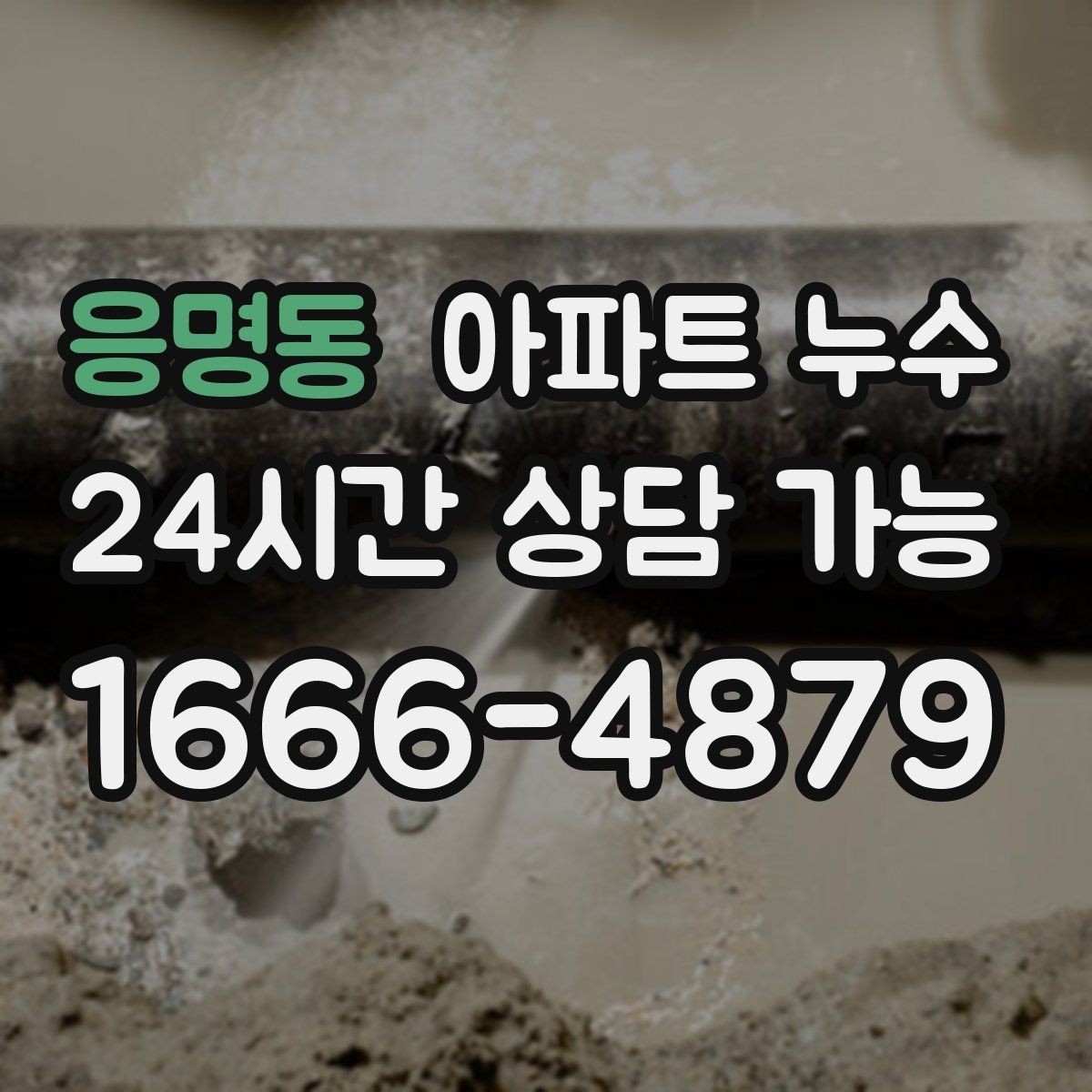 응명동 아파트 누수 공용부 의심 시 대응 절차 안내