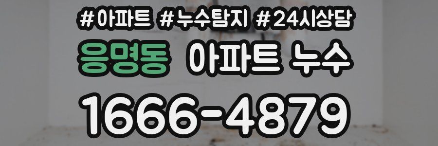 응명동 누수탐지