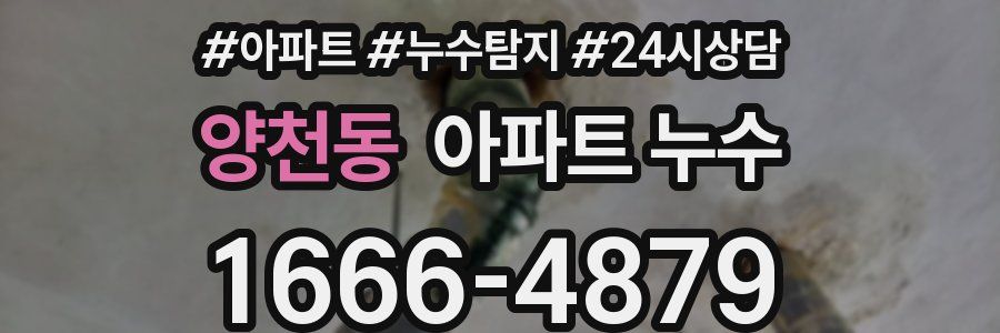 양천동 누수탐지