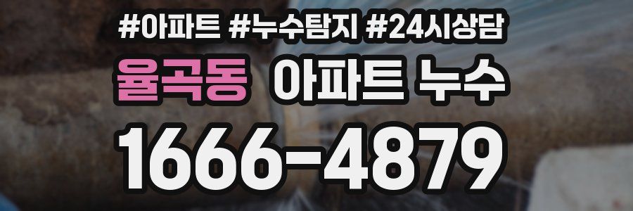 율곡동 누수탐지