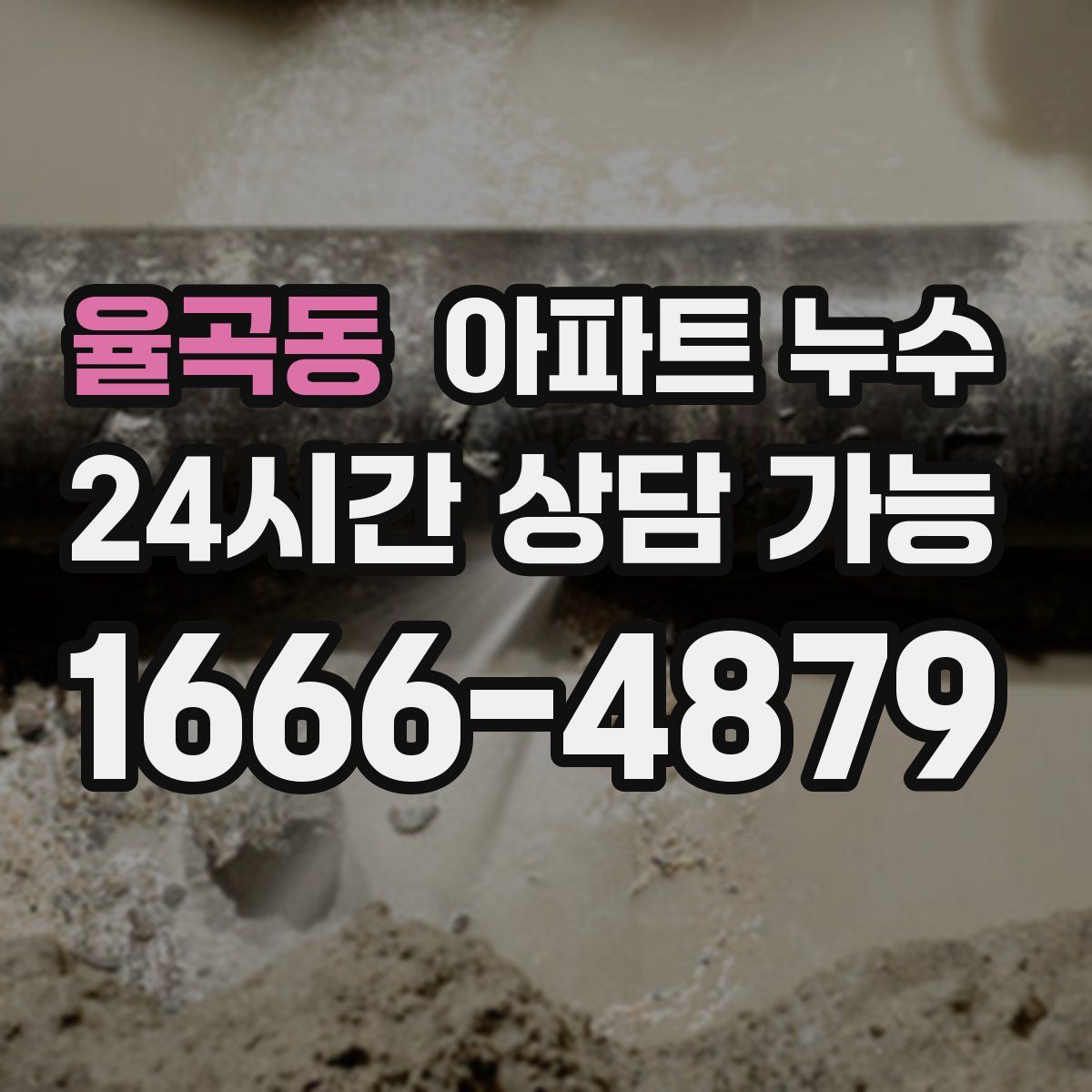 율곡동 아파트 누수탐지