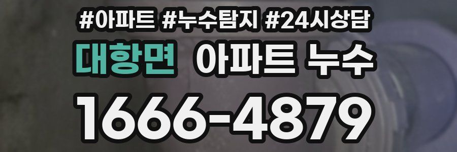 대항면 누수탐지