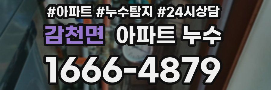 감천면 누수탐지