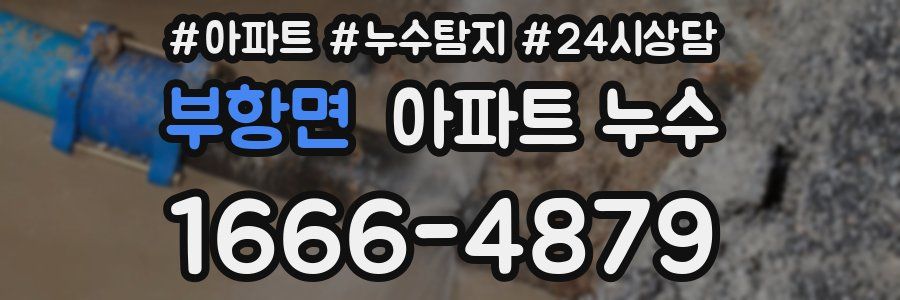 부항면 누수탐지