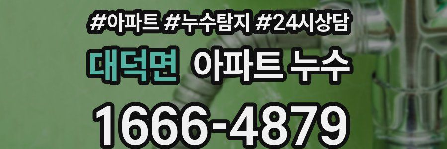 대덕면 누수탐지