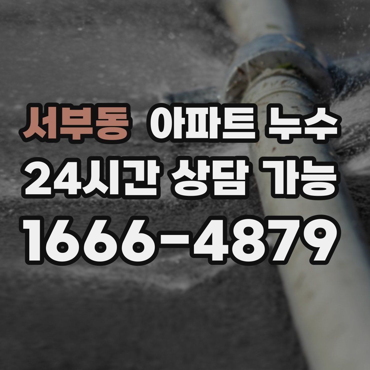 서부동 아파트 누수 벽 모서리 곰팡이 방치하면 커지는 이유와 피해 최소화