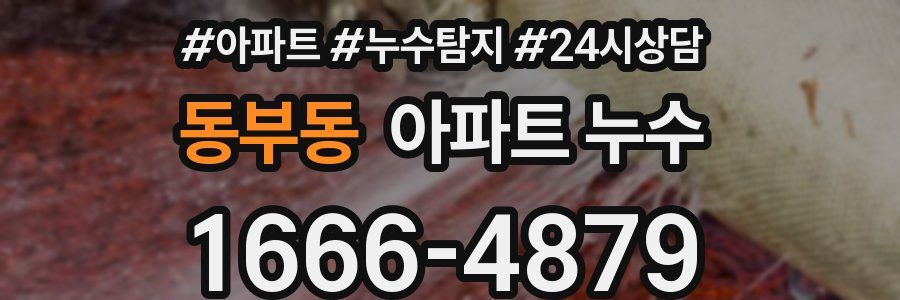 동부동 누수탐지