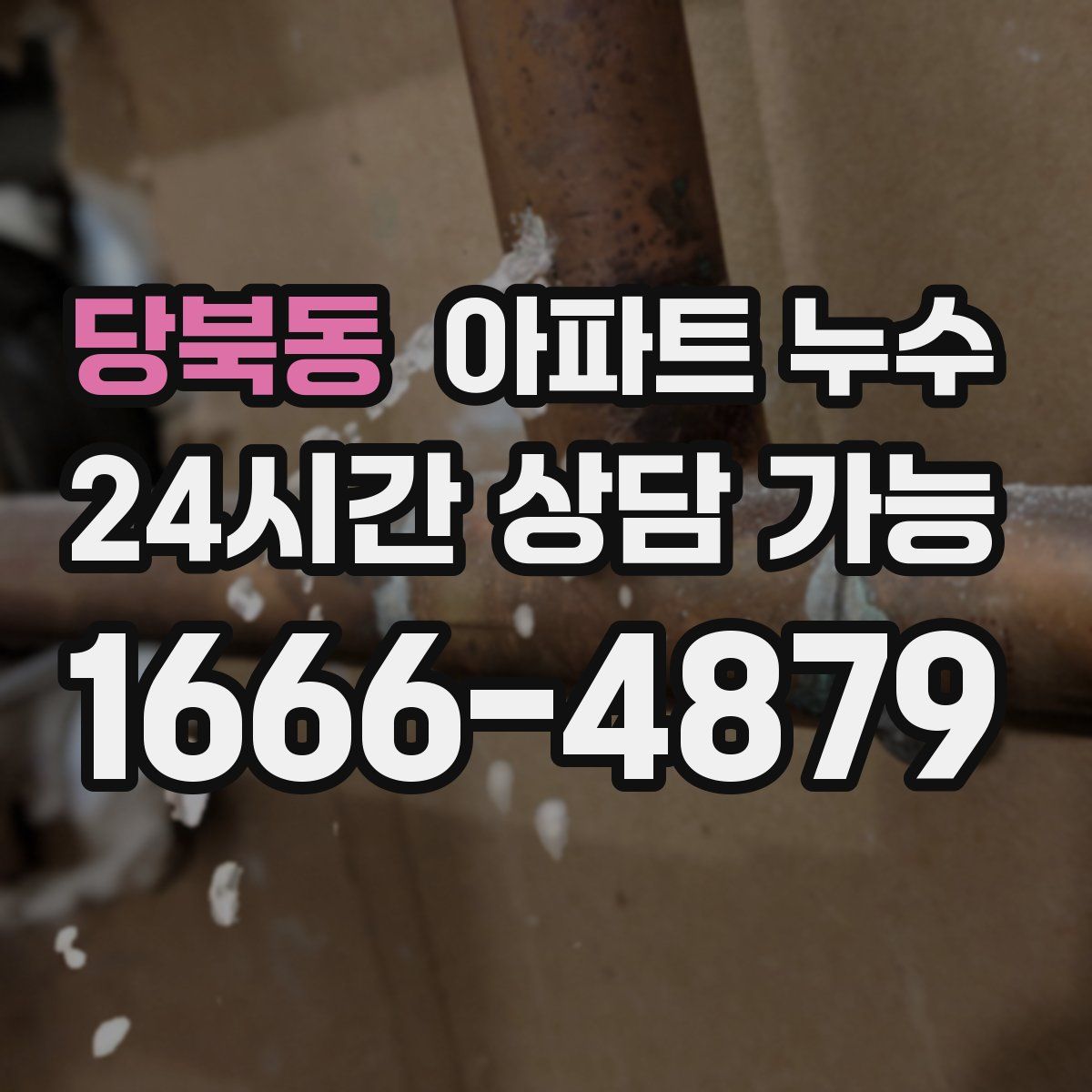 당북동 아파트 누수탐지