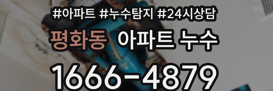 평화동 누수탐지