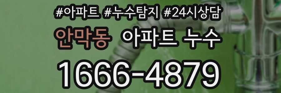 안막동 누수탐지