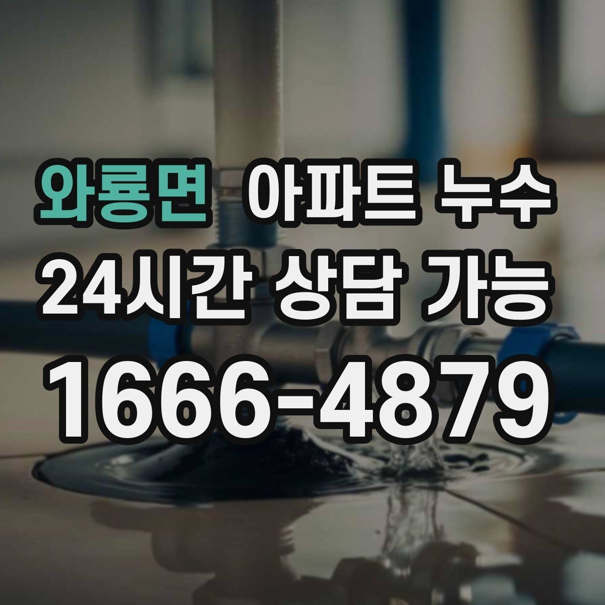 와룡면 아파트 누수 얼룩은 작은데 냄새가 강할 때