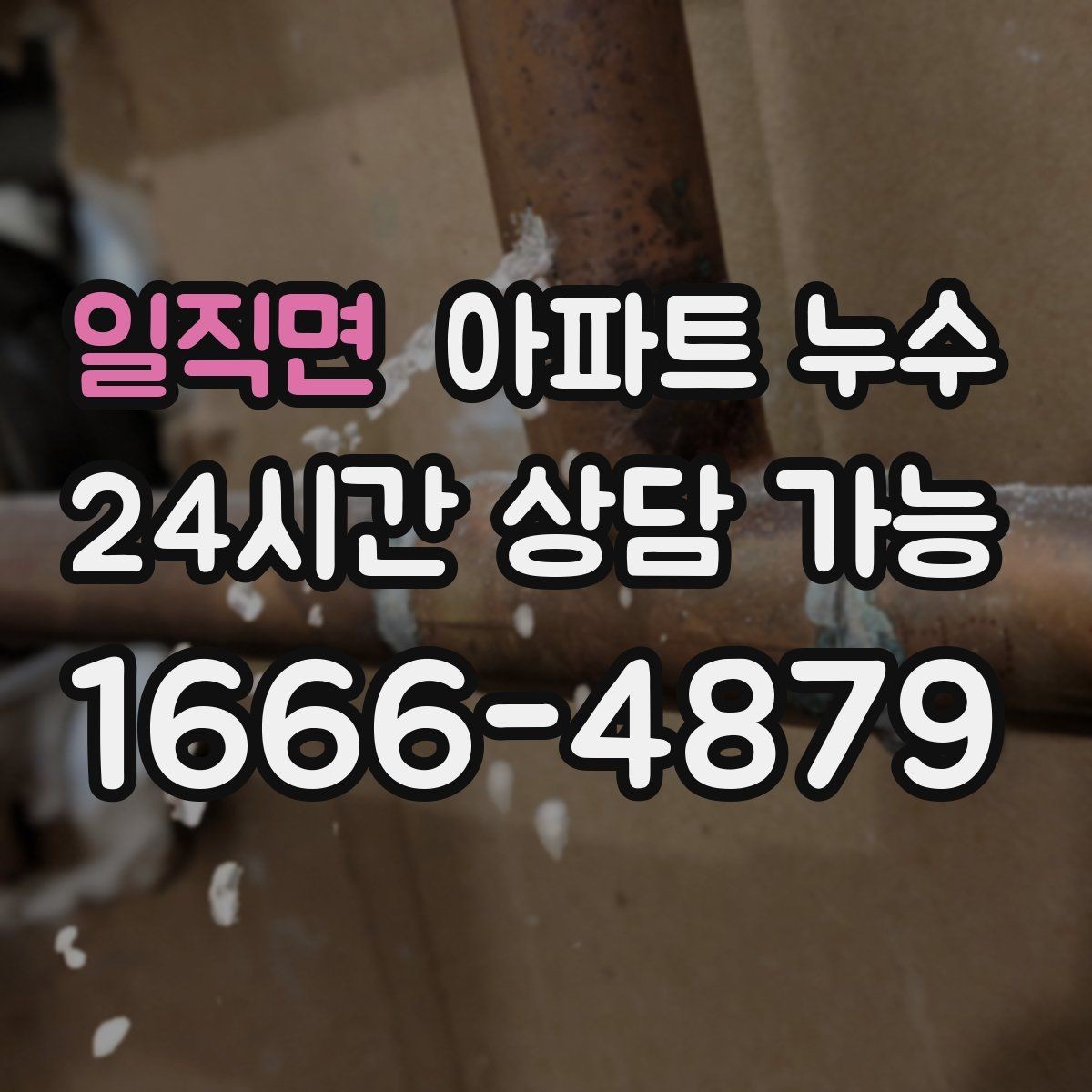 일직면 아파트 누수 오늘 바로 점검해야 하는 대표 신호