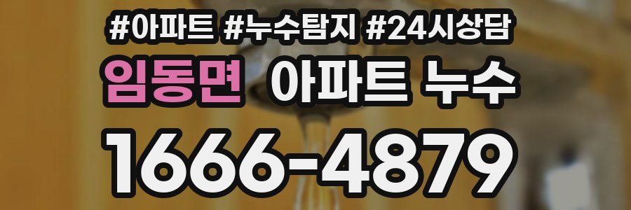 임동면 누수탐지