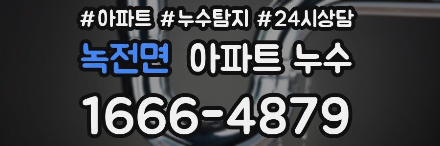 녹전면 누수탐지