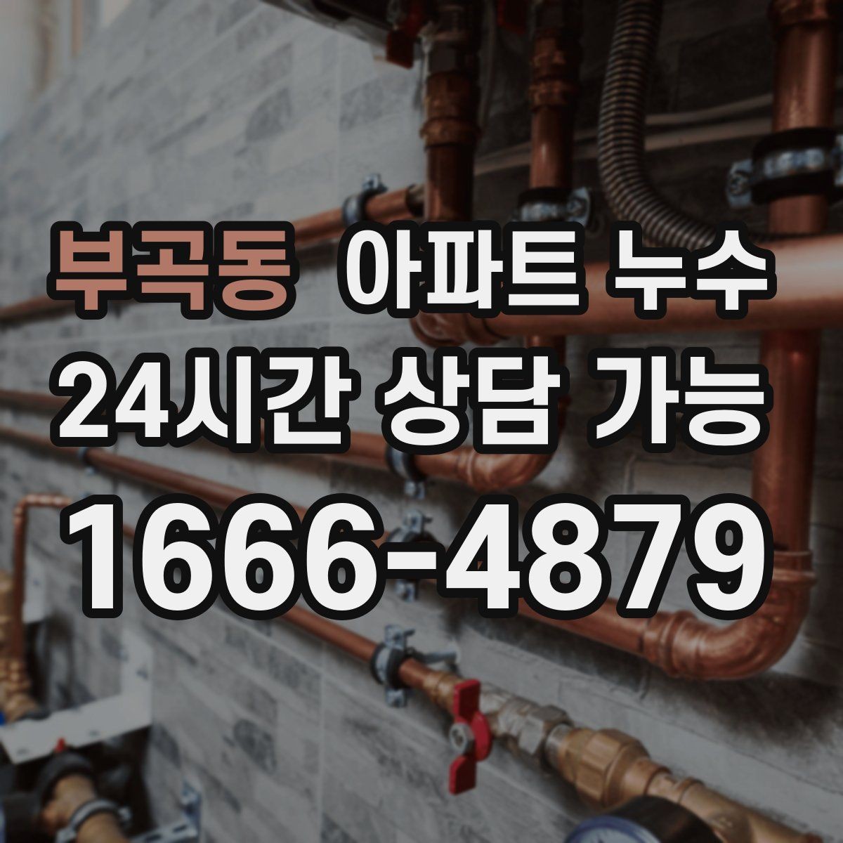 부곡동 아파트 누수 얼룩은 작은데 냄새가 강할 때