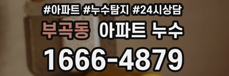 부곡동 누수탐지