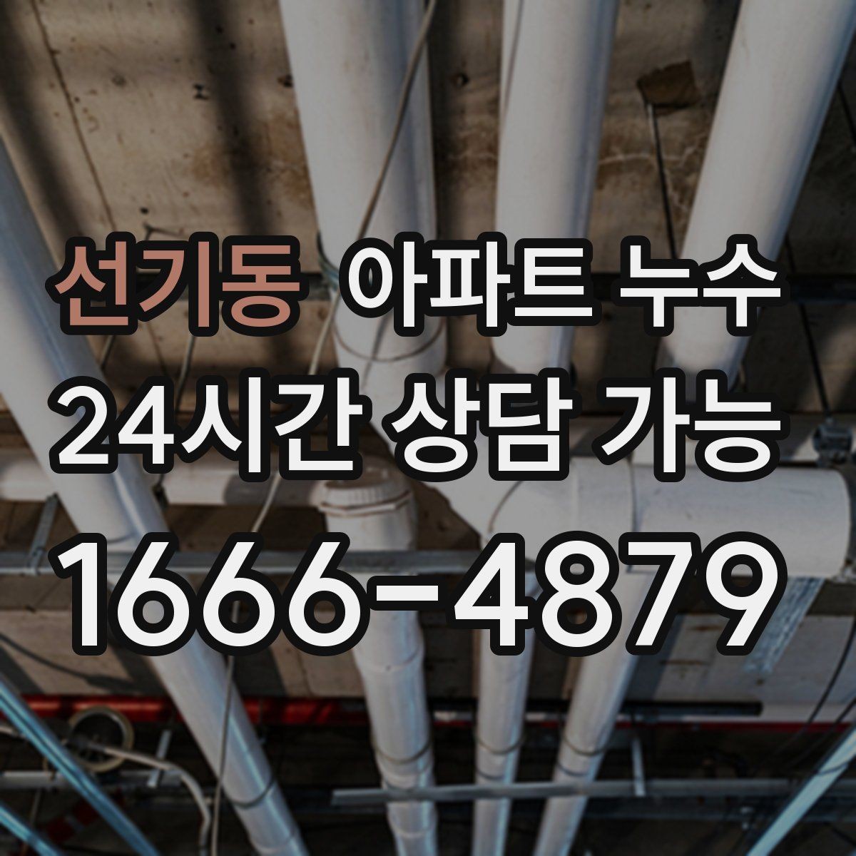 선기동 아파트 누수 물자국만 덮으면 생기는 2차 피해