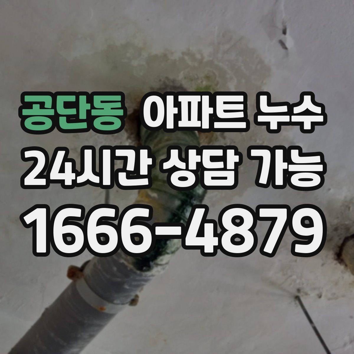 공단동 아파트 누수 신발장 주변 습기 커지기 전 점검 순서 체크