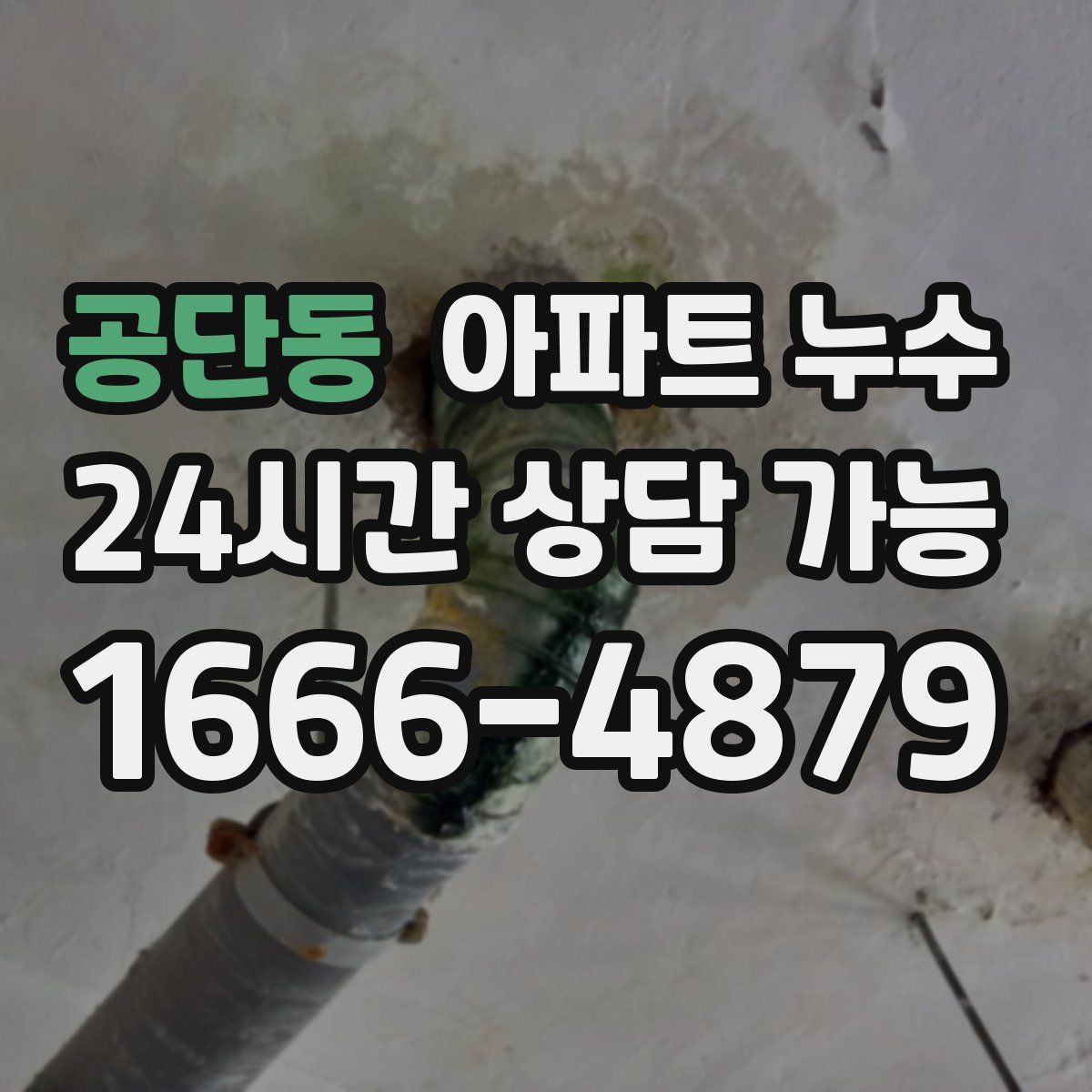 공단동 아파트 누수탐지