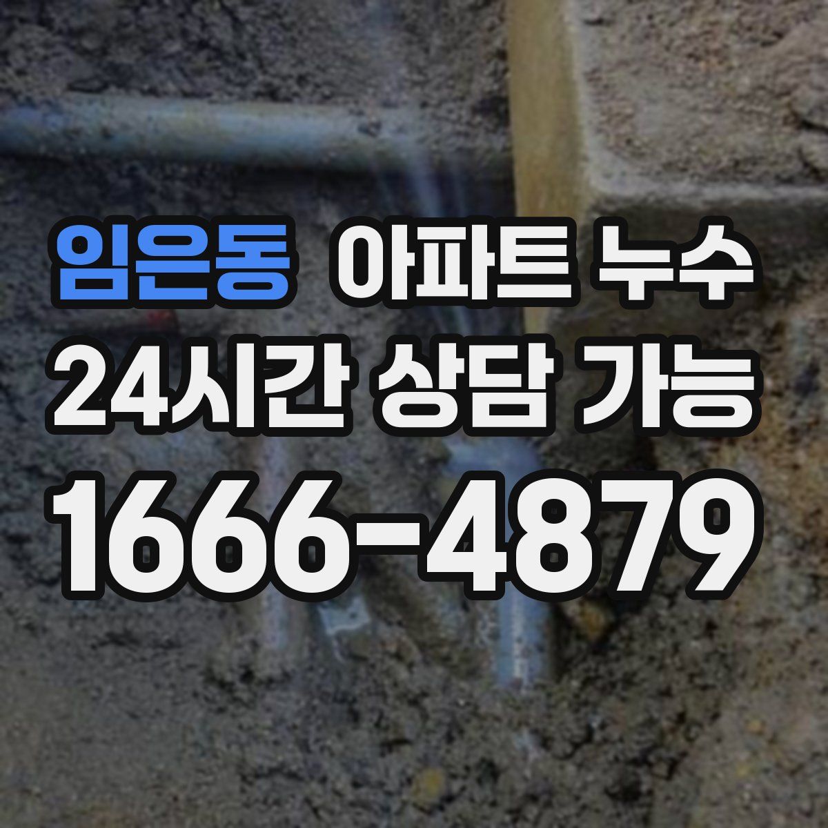 임은동 아파트 누수탐지