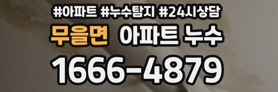 무을면 누수탐지