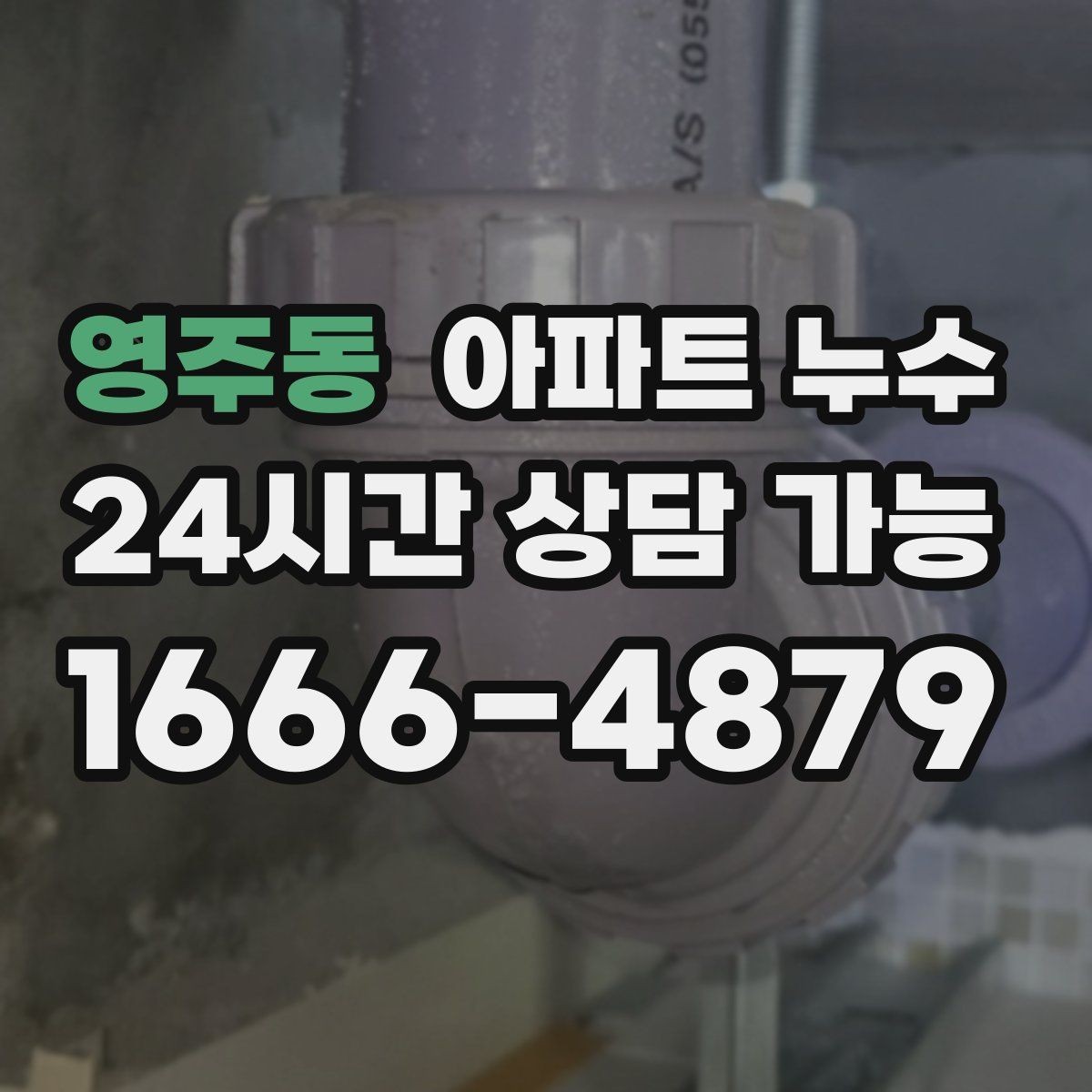 영주동 아파트 누수 결로와 헷갈릴 때 구분 기준 정리