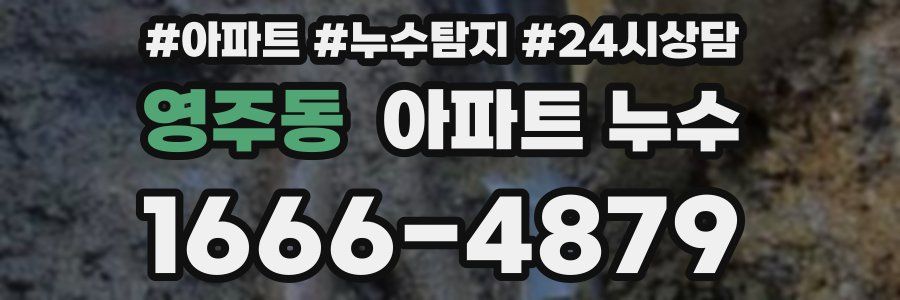 영주동 누수탐지