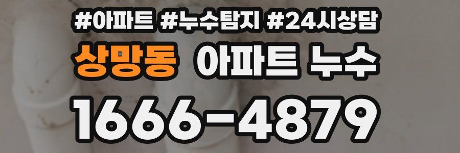 상망동 누수탐지