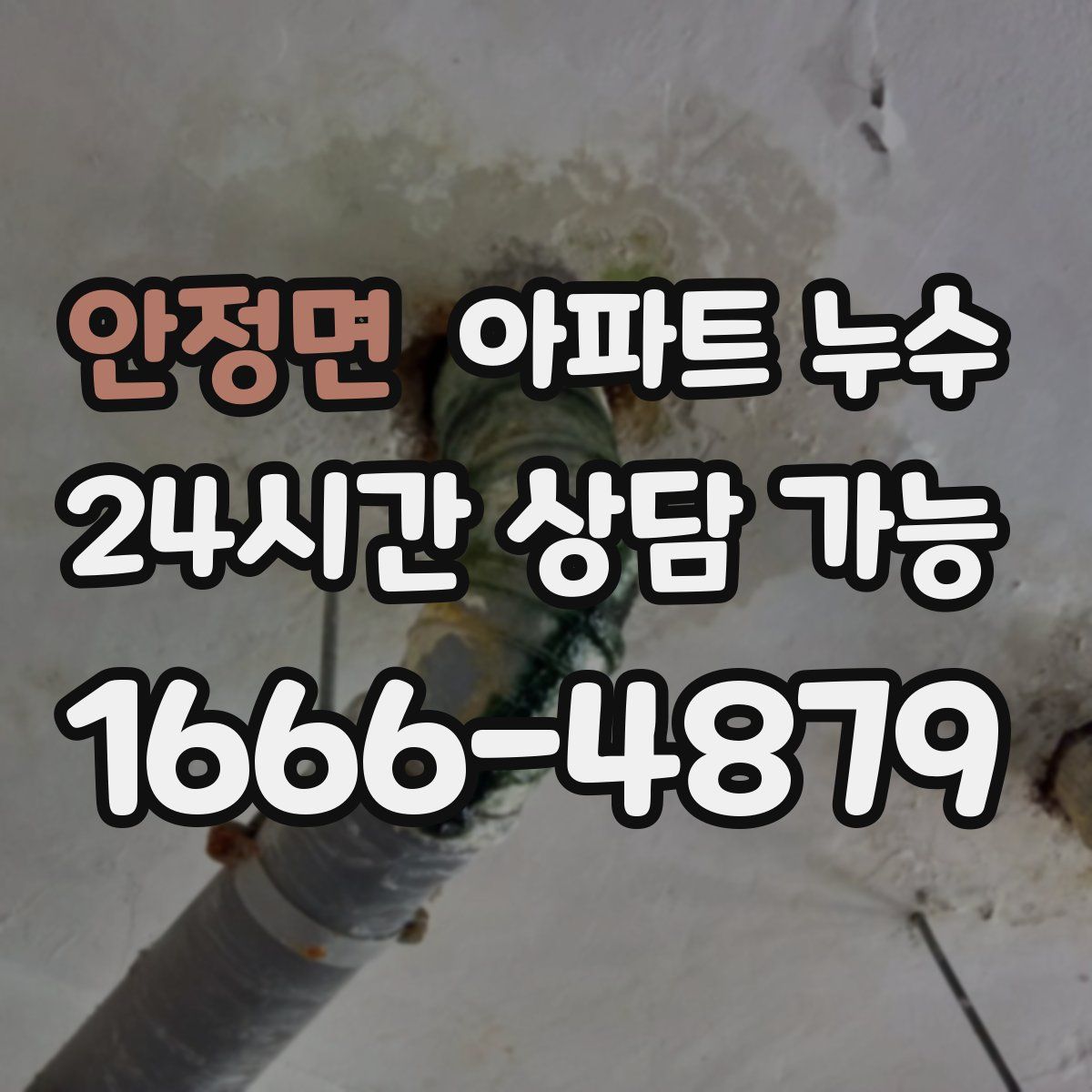 안정면 아파트 누수탐지