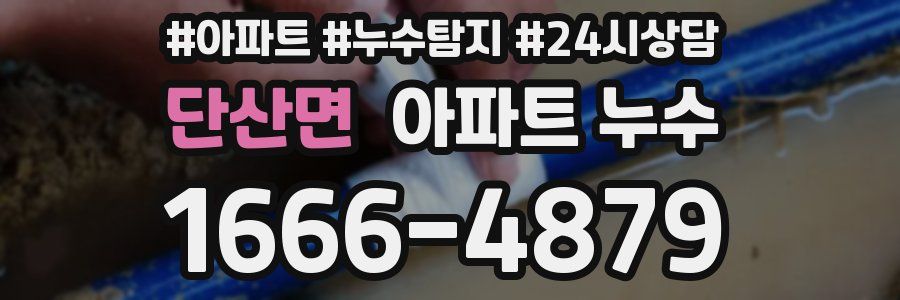 단산면 누수탐지