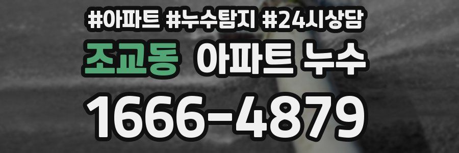 조교동 누수탐지