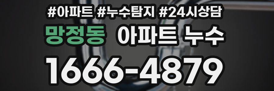 망정동 누수탐지