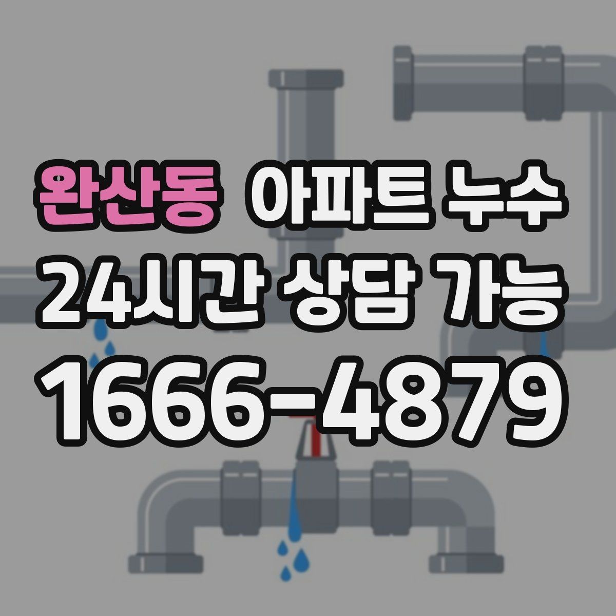 완산동 아파트 누수 바닥 젖음 방치하면 커지는 이유와 초기 대응