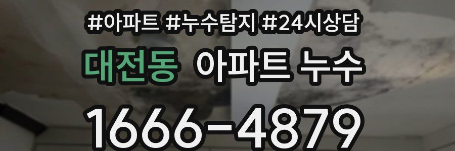 대전동 누수탐지