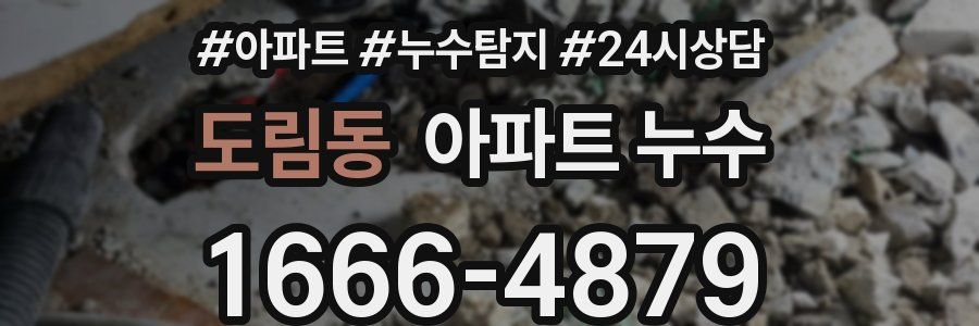 도림동 누수탐지