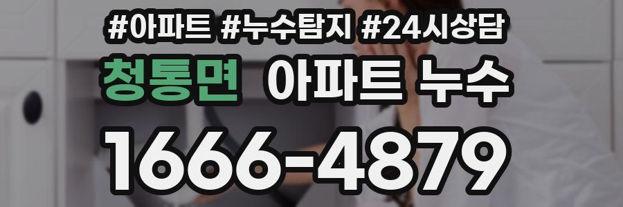 청통면 누수탐지