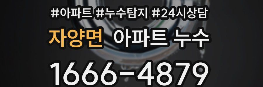 자양면 누수탐지