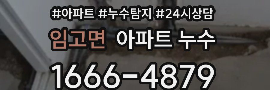 임고면 누수탐지