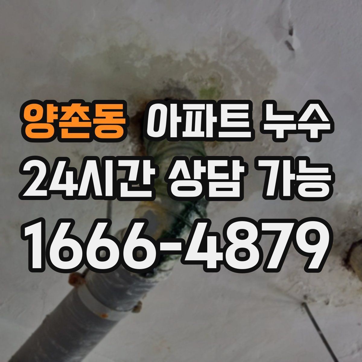 양촌동 아파트 누수 가구 뒤쪽 벽면이 검게 변할 때