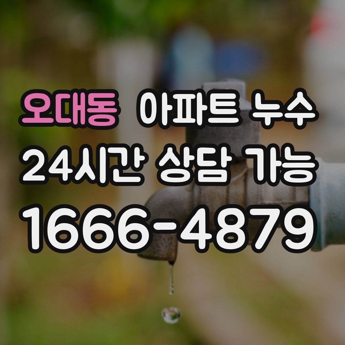 오대동 아파트 누수 마루 틈새가 벌어질 때 점검 포인트
