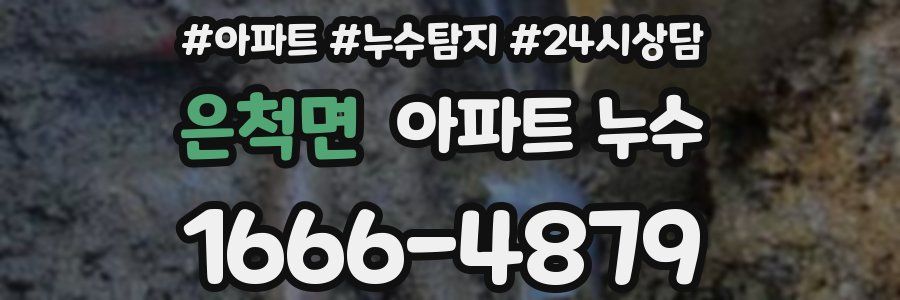 은척면 누수탐지