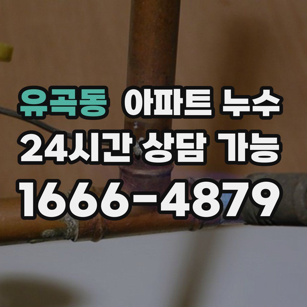 유곡동 아파트 누수탐지